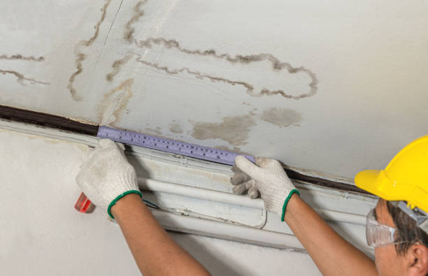 Reliable Water Damage contractor in Custer, MI by Water Damage Irwin